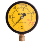  SKF0031008_01.png  