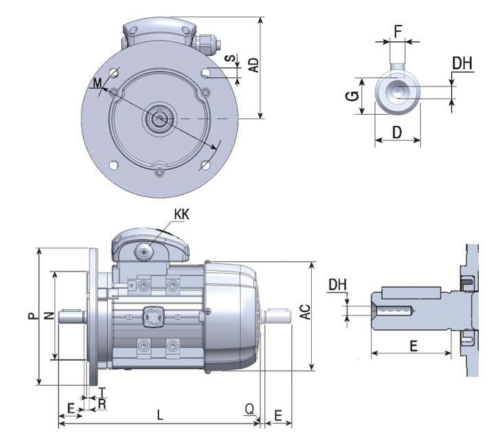 MOTI001336_02.jpg