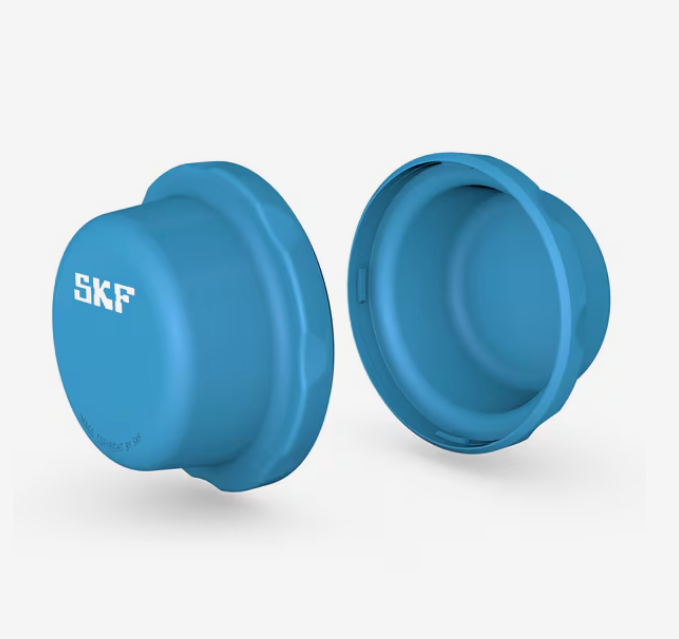  SKF0031383_01.png  